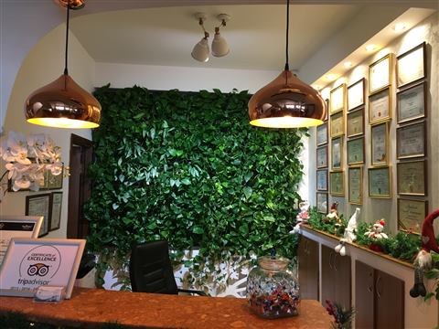 Grădină verticală cu plante naturale – Hotel Drăgului, foto 1 din 10